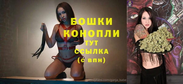 дурь Верея