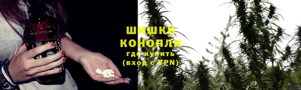 стаф Верхний Тагил