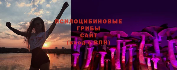 дурь Верея
