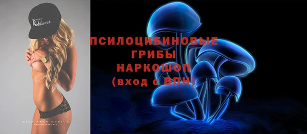 стаф Верхний Тагил