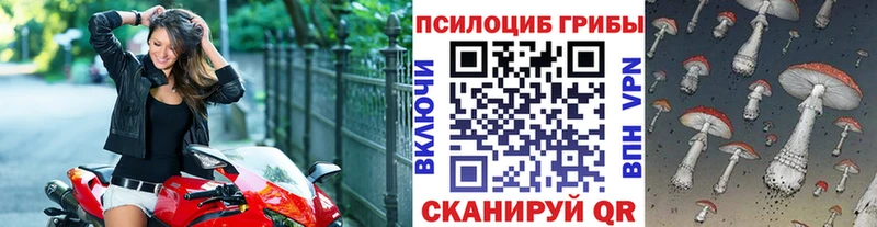 Галлюциногенные грибы Magic Shrooms Первомайск